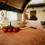 Nyugalom Az Erdo Koezepen Penzion