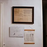 Nyugalom Az Erdo Koezepen Ruzsa