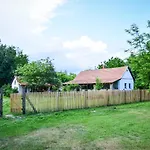 Nyugalom Az Erdo Koezepen