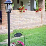 Nyugalom Az Erdo Koezepen Ruzsa
