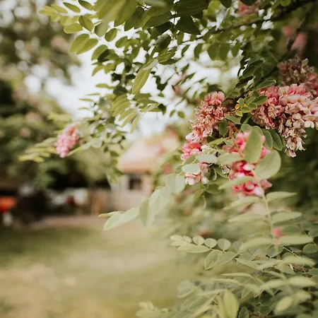 Gasthof Nyugalom Az Erdo Koezepen 4*