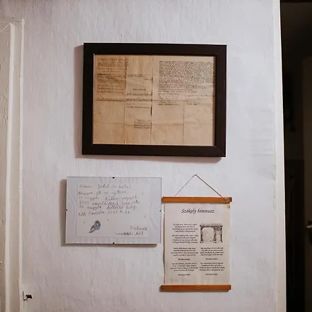 Nyugalom Az Erdo Koezepen Ruzsa