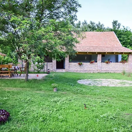 Nyugalom Az Erdo Koezepen