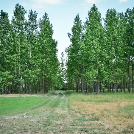 Nyugalom Az Erdo Koezepen Гостевой дом 4*