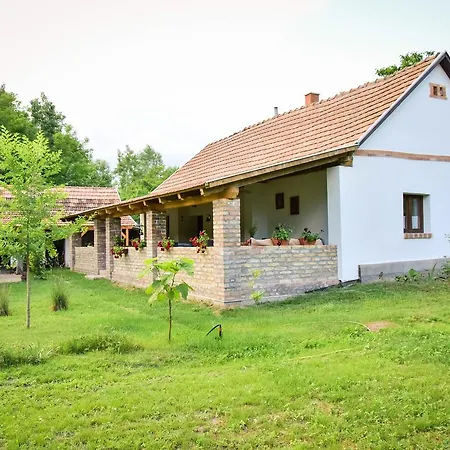 Nyugalom Az Erdo Koezepen Ruzsa