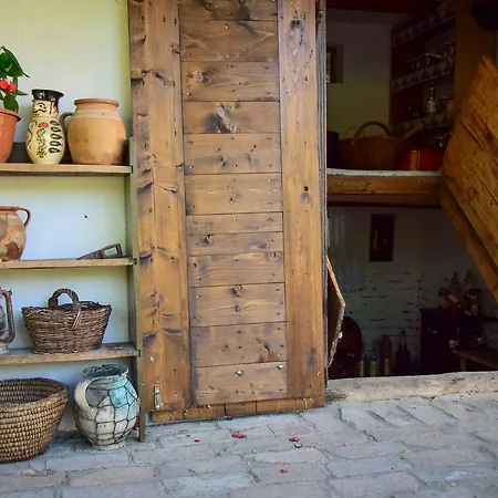 Nyugalom Az Erdo Koezepen Ruzsa