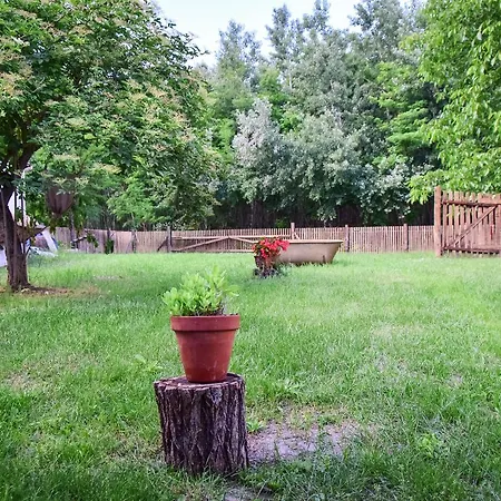 Nyugalom Az Erdo Koezepen Гостевой дом