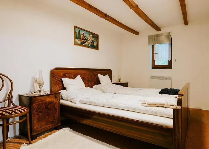 Nyugalom Az Erdo Koezepen