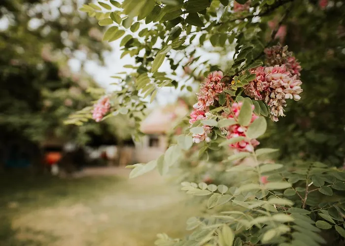 Gasthof Nyugalom Az Erdo Koezepen 4*