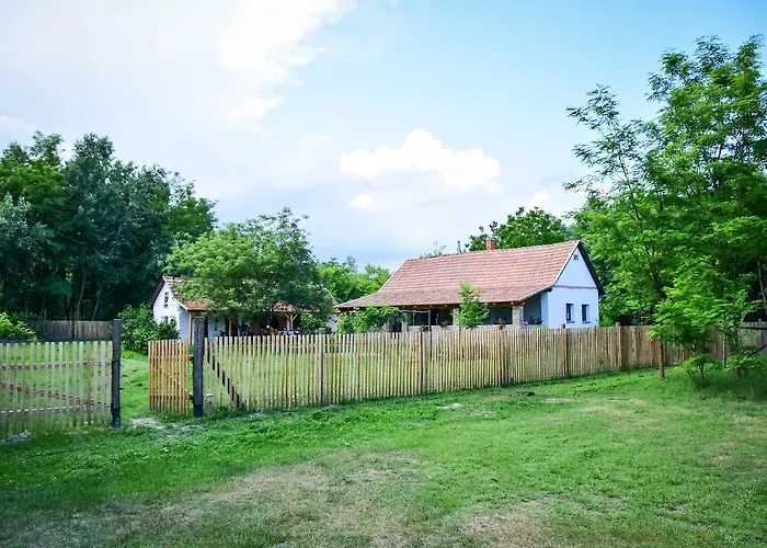 Nyugalom Az Erdo Koezepen