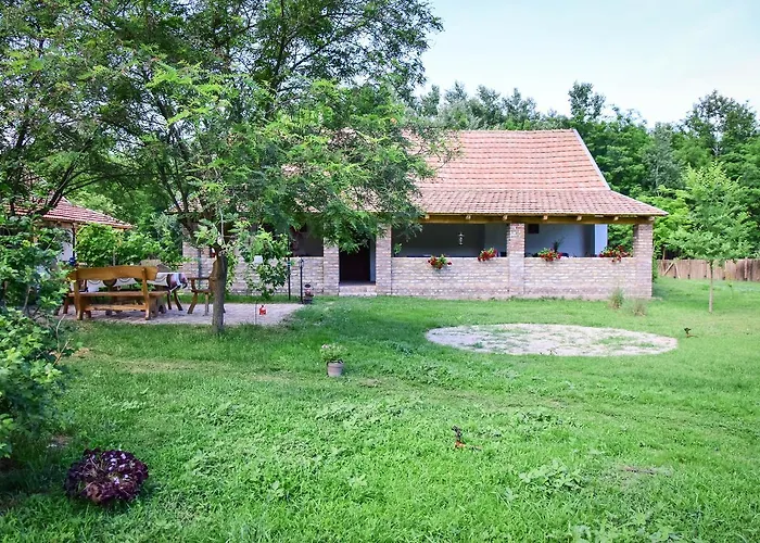 Nyugalom Az Erdo Koezepen