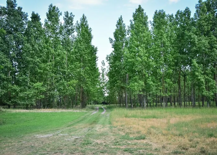 Nyugalom Az Erdo Koezepen Gasthof 4*