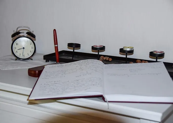 Nyugalom Az Erdo Koezepen Ruzsa