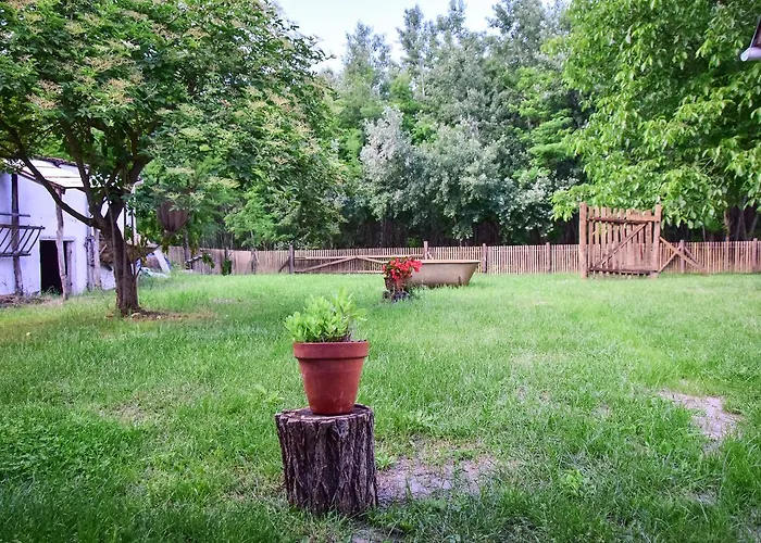 Nyugalom Az Erdo Koezepen Gasthof