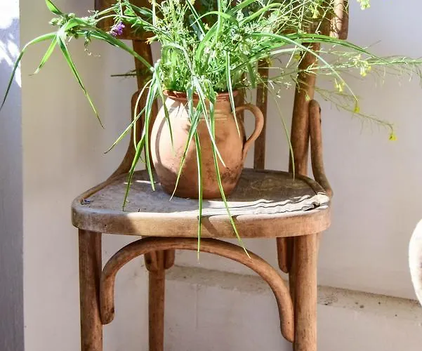 Nyugalom Az Erdo Koezepen Ruzsa